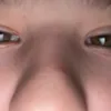 luksior_deluksior