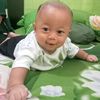 ghavinsaputra061124