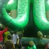 pinzonbuitrago