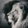 arthurzz____