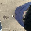 ashlf_4