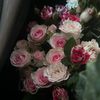 bes_1414