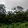 amorgbp