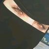 user23sd7p176z
