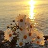 mithi._4