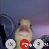 markqus_56