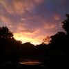 talana_lopes