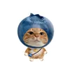 toiyeumeoww
