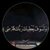 user6238800782617
