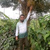 tiger.group.md.sal5