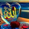 user8886942815198