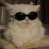 cuuxinhyeu_