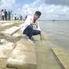 mdshainkhan7977