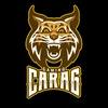 gaming_carag
