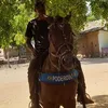 helioaraujo768