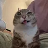 0kyleavemealone