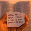 santos44.oo
