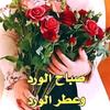 alamir998877