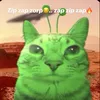 trxsh_noob