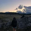 macdemarcolover2_