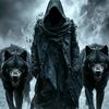 night_rider_pti