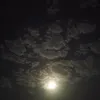 hhxdv