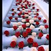 user3207070622400