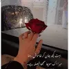 naazali292