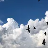 ayo___.26