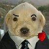 thomascaro202