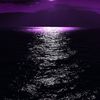 wxz79qzz