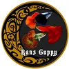 Kuya Rans guppy