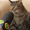 hibarioliveira