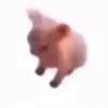 binfich