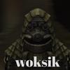 woksik69