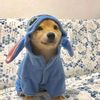 regi_lguwu
