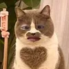 mtcutis1tgnha