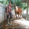 yut.nanto