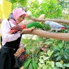 okta_risalah