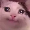 umoi_qrpo
