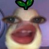 funlavaa_