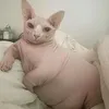 ininanaoky