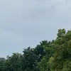 saltyrain88