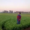 eyadayad19
