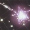 fejel._.star