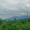 nirjalagrg076