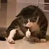meeeeetoooooo5269_