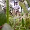 thariya475