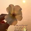 user1944538723985