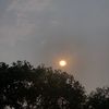 arfa_1138